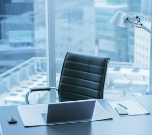 Chief Executive Officer